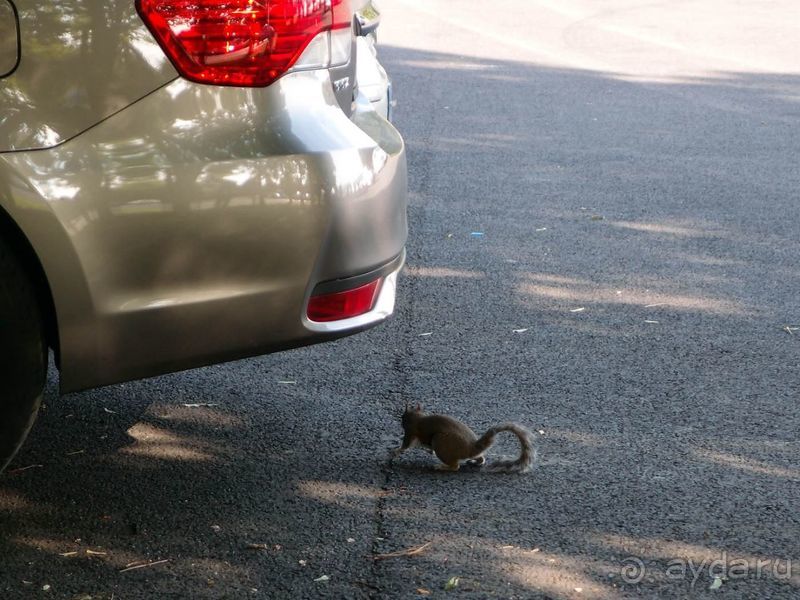 Переменчивый солнечный Дублин 