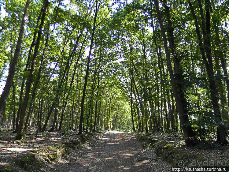 В гостях у забытой сказки или Заброшенный Марченвальд