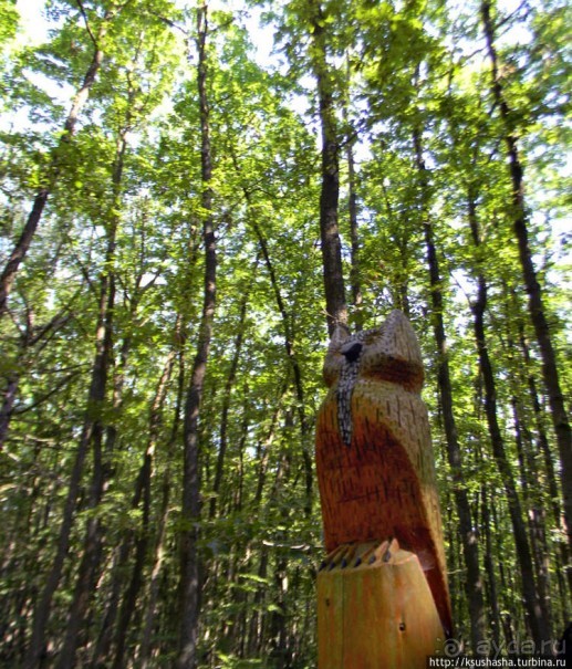 В гостях у забытой сказки или Заброшенный Марченвальд