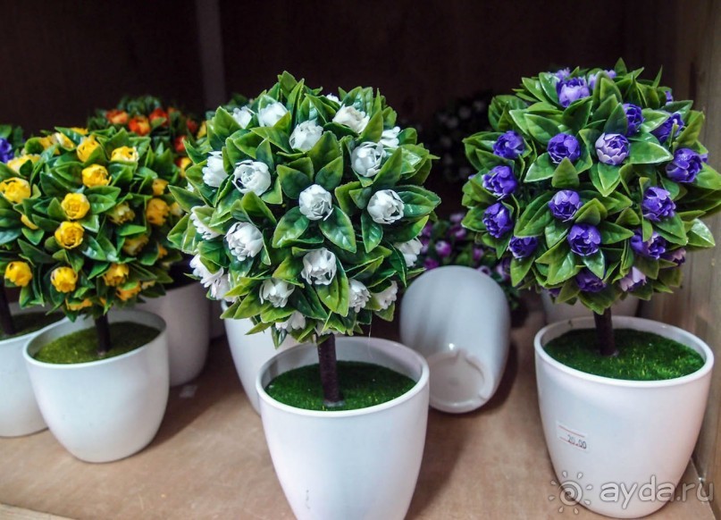 Яффо. "Африка", восток. Незатейливая прогулка