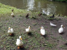 Очарование бельгийской провинции. Турне