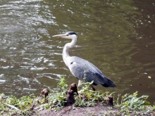Очарование бельгийской провинции. Турне