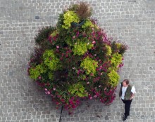 Очарование бельгийской провинции. Турне