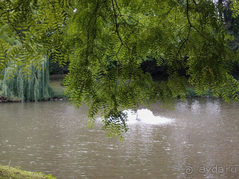 Очарование бельгийской провинции. Турне