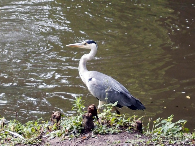 Очарование бельгийской провинции. Турне