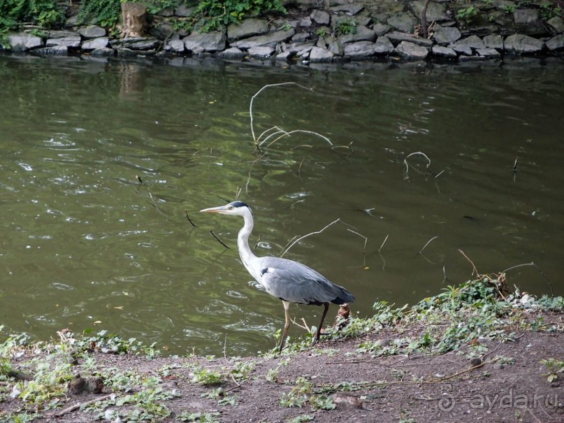 Очарование бельгийской провинции. Турне