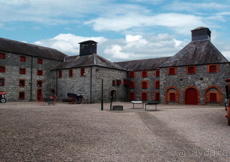 Ирландский виски