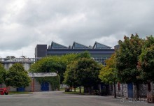 Ирландский виски