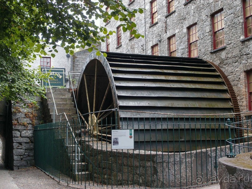 Ирландский виски