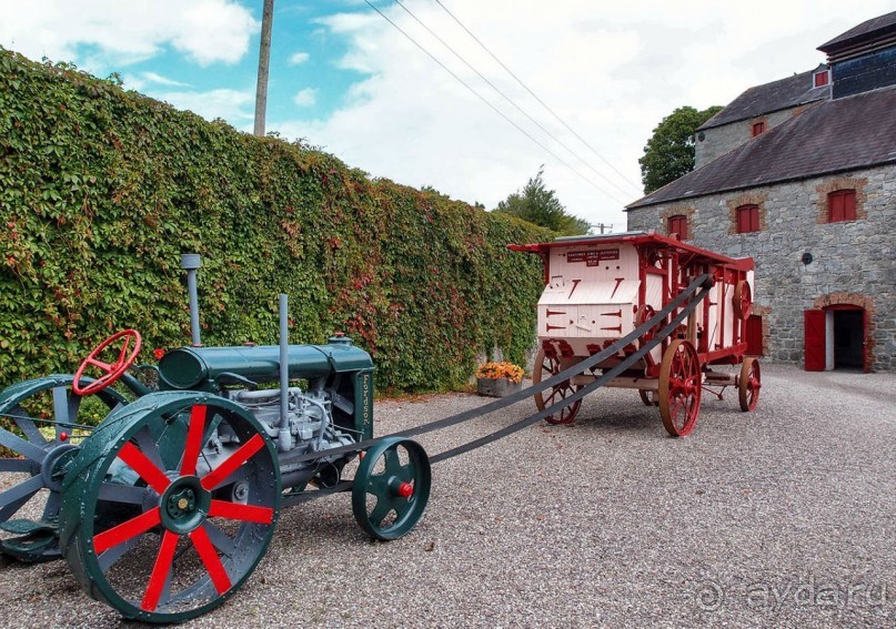 Ирландский виски