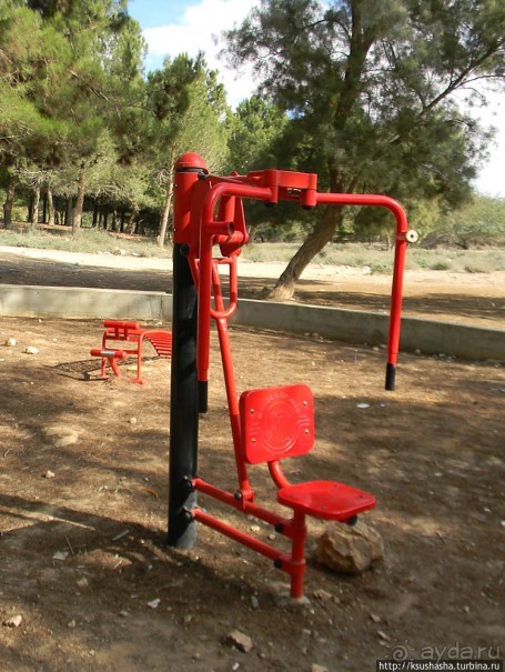 Рыбалка в библейской пустыне