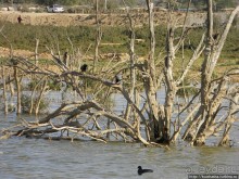Рыбалка в библейской пустыне