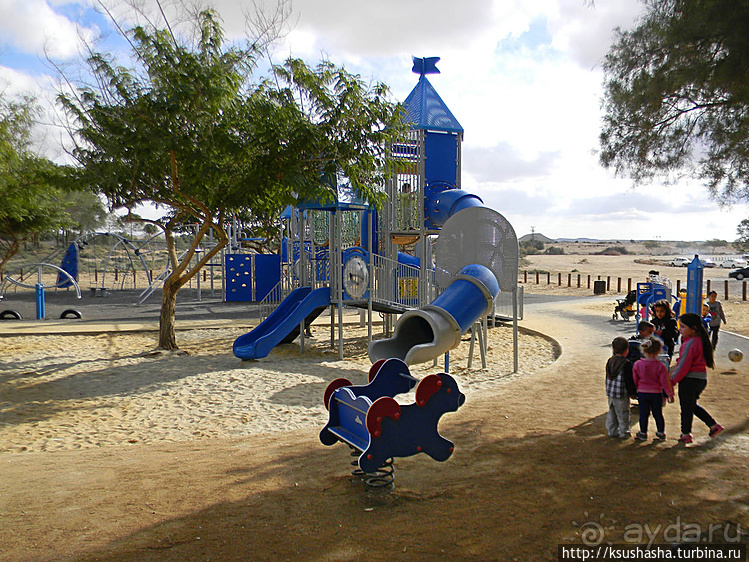 Рыбалка в библейской пустыне