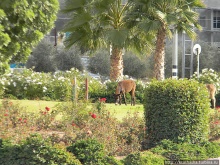 Рыбалка в библейской пустыне