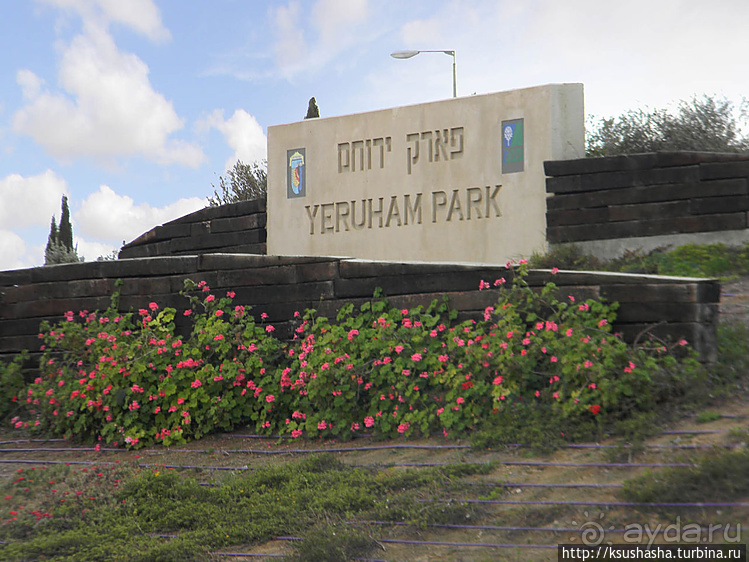 Рыбалка в библейской пустыне