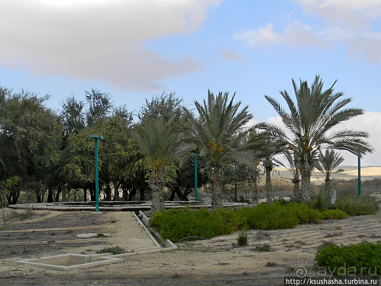 Рыбалка в библейской пустыне