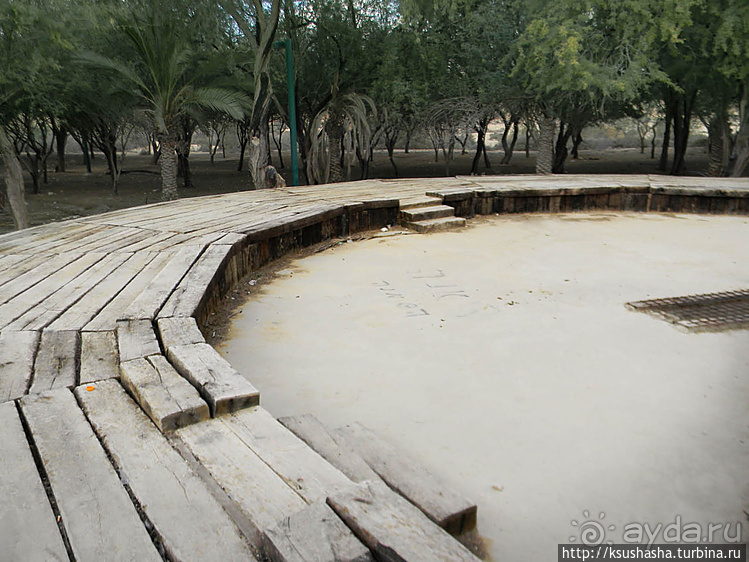Рыбалка в библейской пустыне