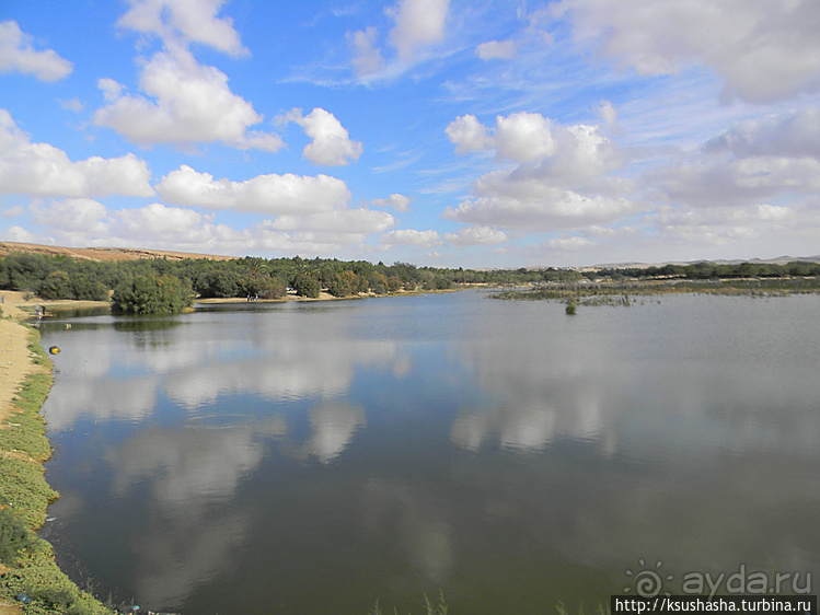 Рыбалка в библейской пустыне