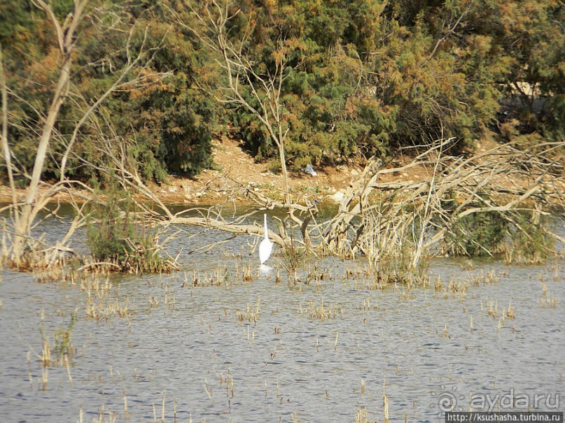 Рыбалка в библейской пустыне