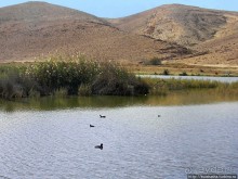Рыбалка в библейской пустыне