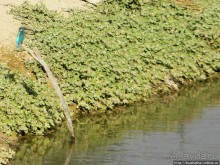 Рыбалка в библейской пустыне