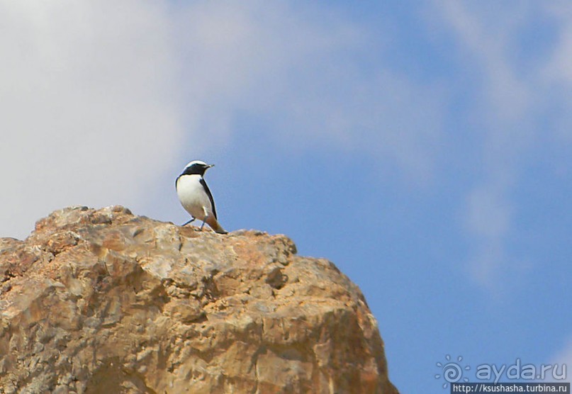 Рыбалка в библейской пустыне