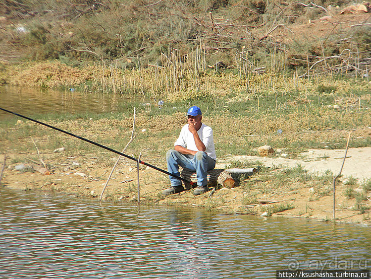 Рыбалка в библейской пустыне