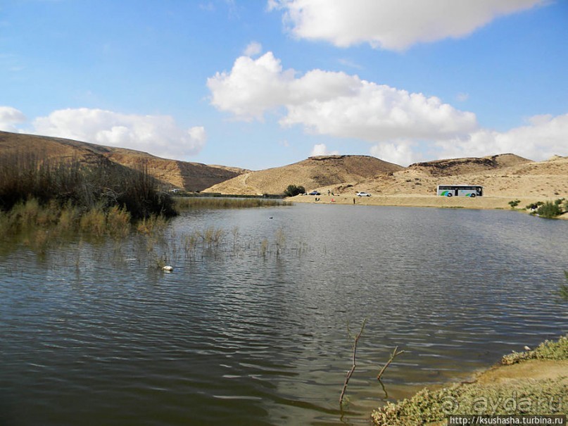 Рыбалка в библейской пустыне