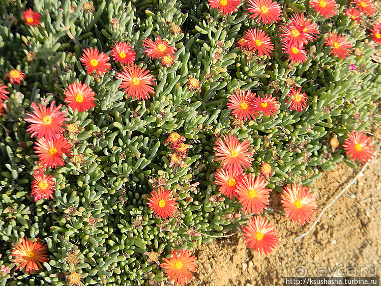 Рыбалка в библейской пустыне
