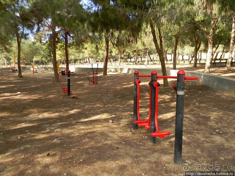 Рыбалка в библейской пустыне