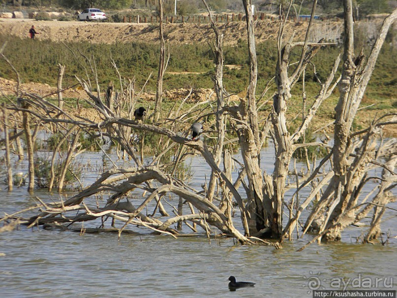 Рыбалка в библейской пустыне