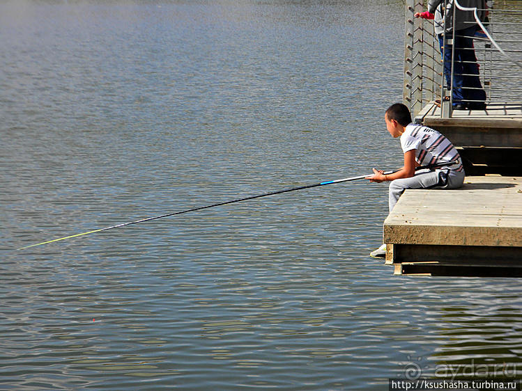 Рыбалка в библейской пустыне