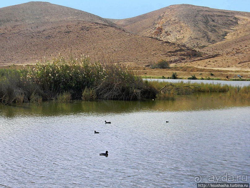 Рыбалка в библейской пустыне