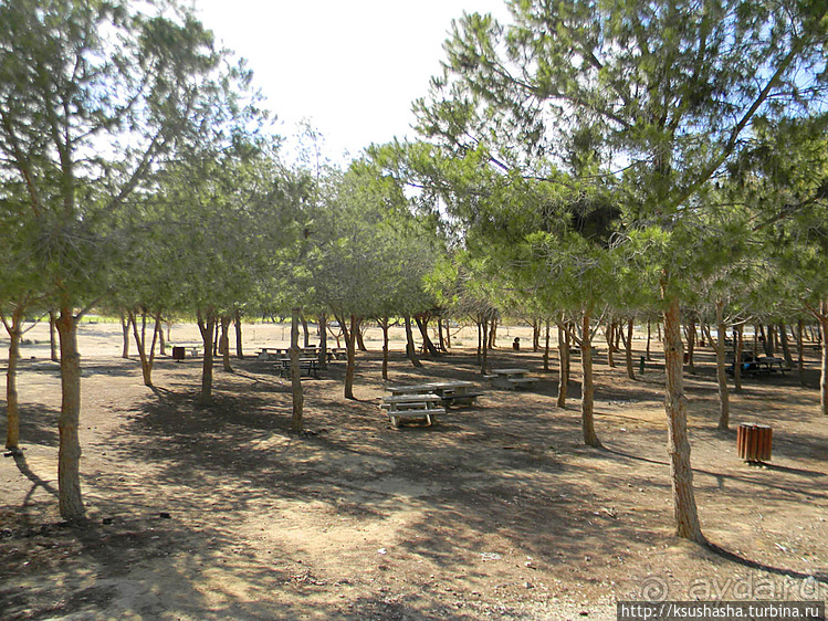 Рыбалка в библейской пустыне