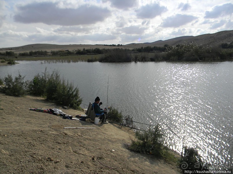 Рыбалка в библейской пустыне