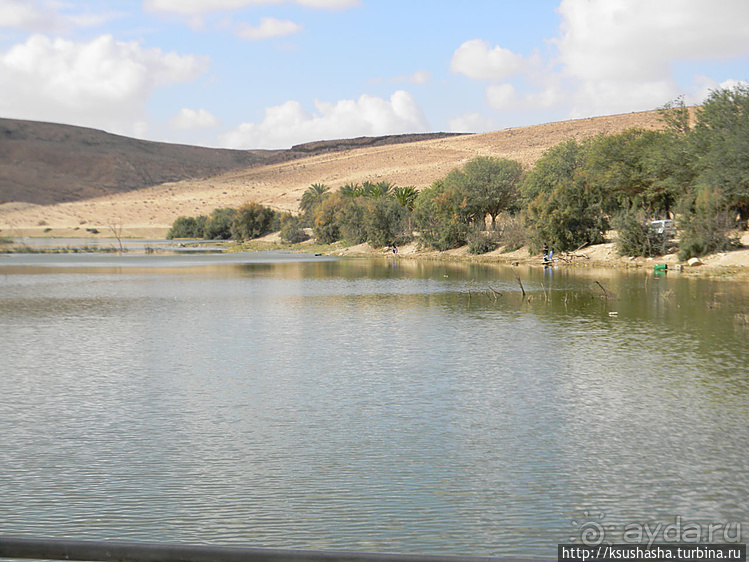 Рыбалка в библейской пустыне