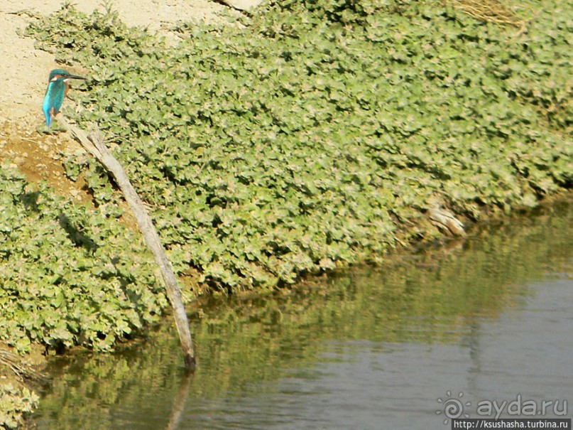 Рыбалка в библейской пустыне
