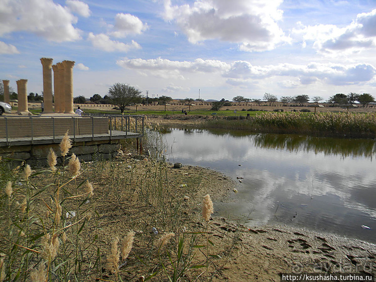 Рыбалка в библейской пустыне