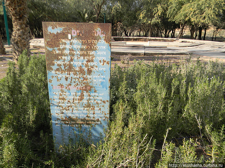 Рыбалка в библейской пустыне