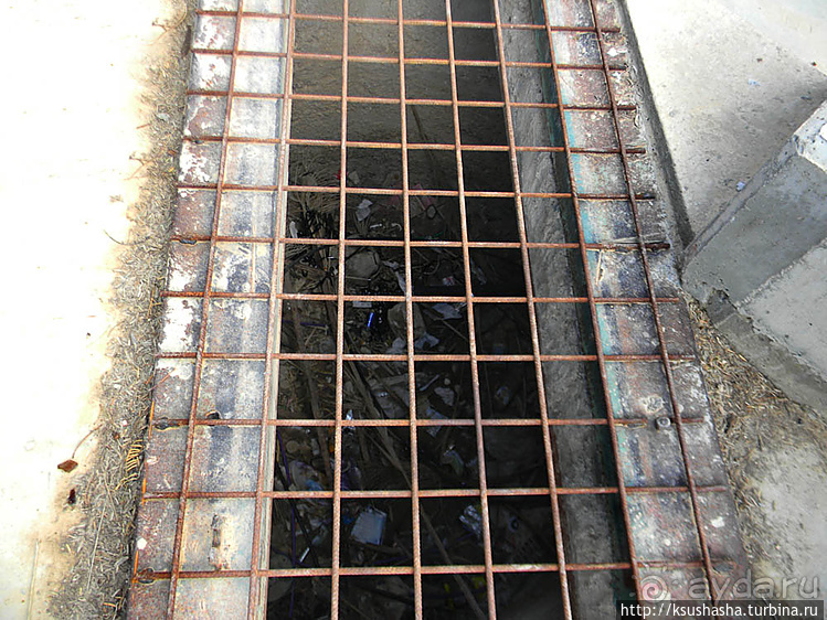 Рыбалка в библейской пустыне