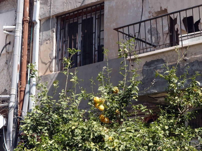 Шук Левински в квартале Флорентин