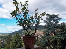 100 фонтанов Тиволи