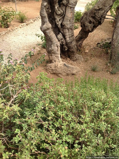 Золотые врата для Мессии