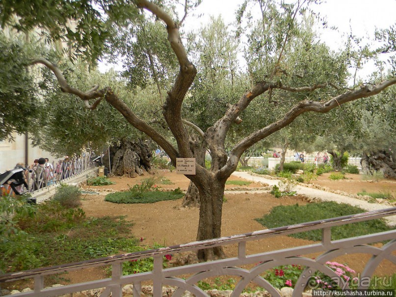 Золотые врата для Мессии