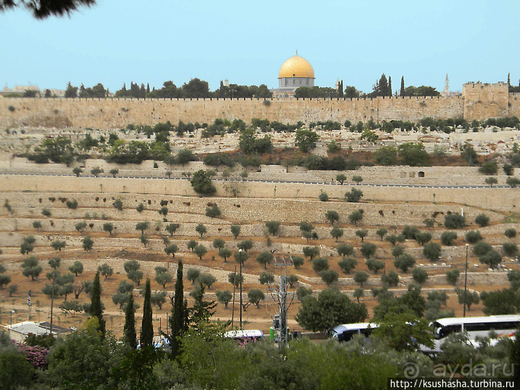 Золотые врата для Мессии