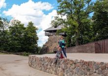 Потерянный среди густых лесов