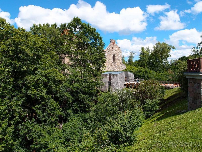 Потерянный среди густых лесов