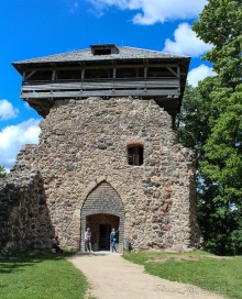 Потерянный среди густых лесов