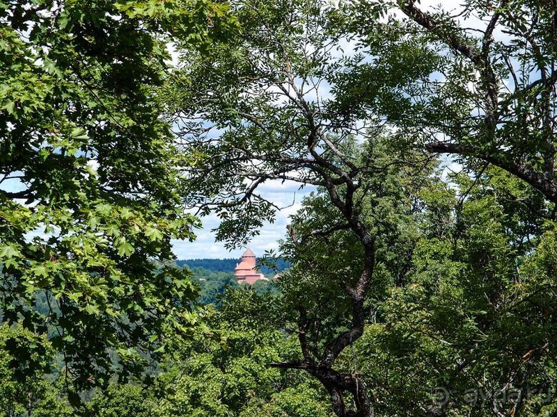 Потерянный среди густых лесов