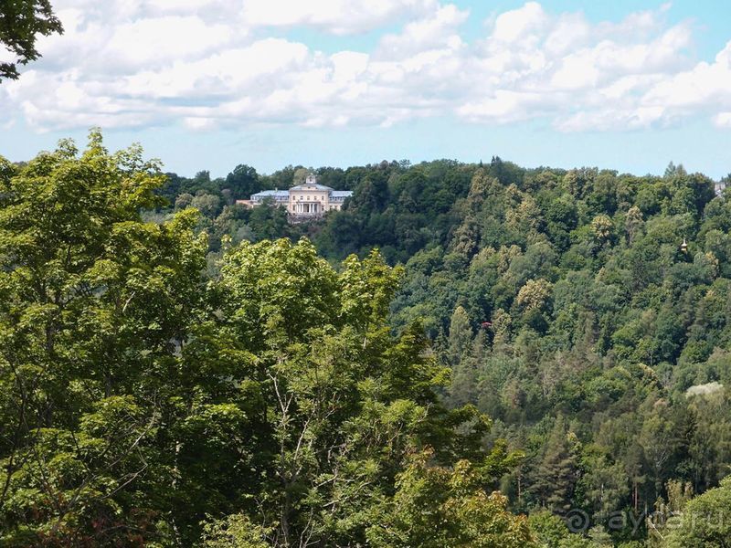 Потерянный среди густых лесов